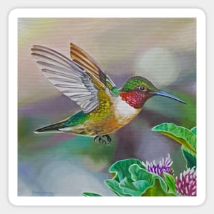 Ruby Throated Hummingbird Painting Sticker